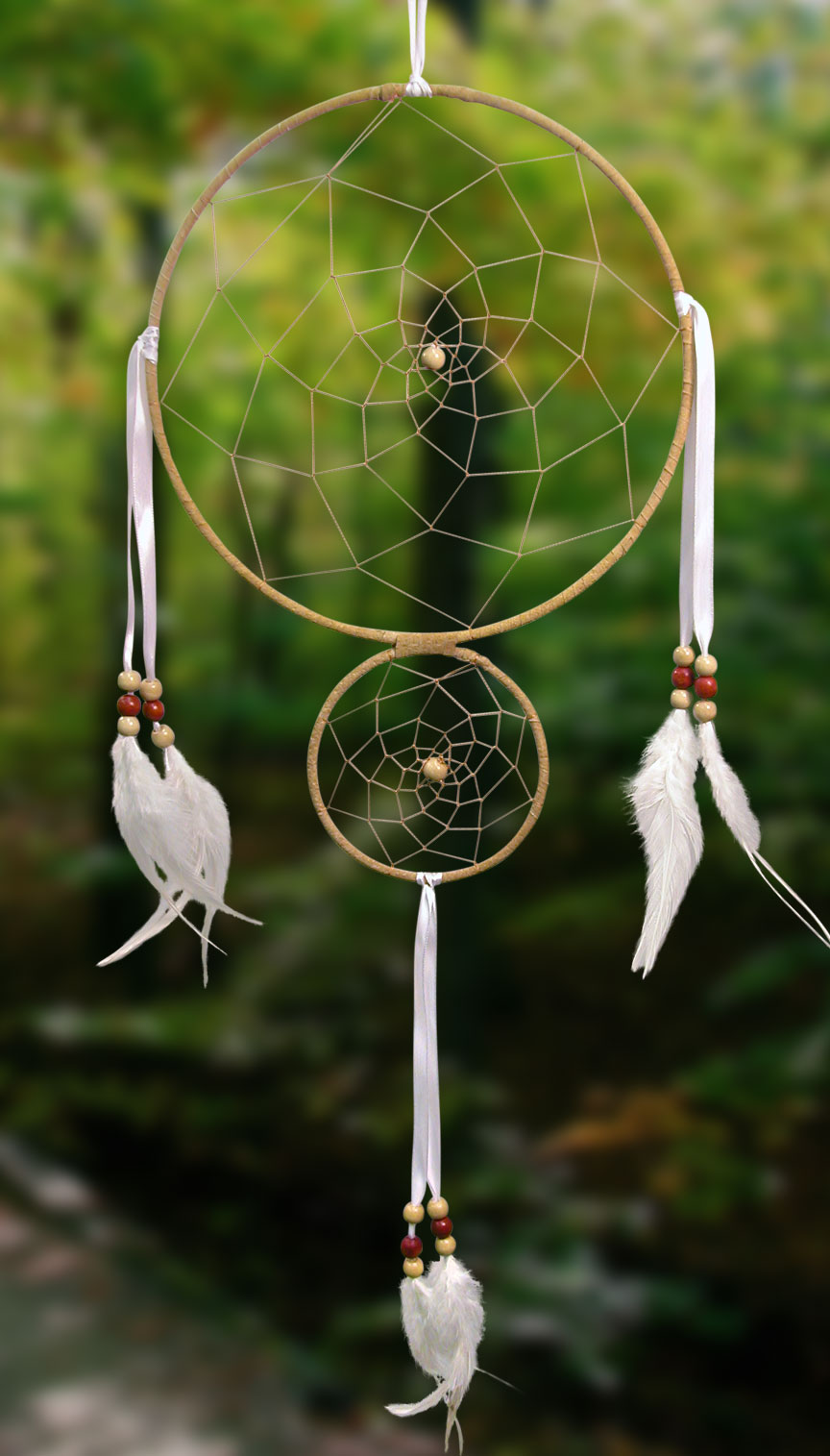 Shows an image of dreamcatcher owg001 on a scenic background