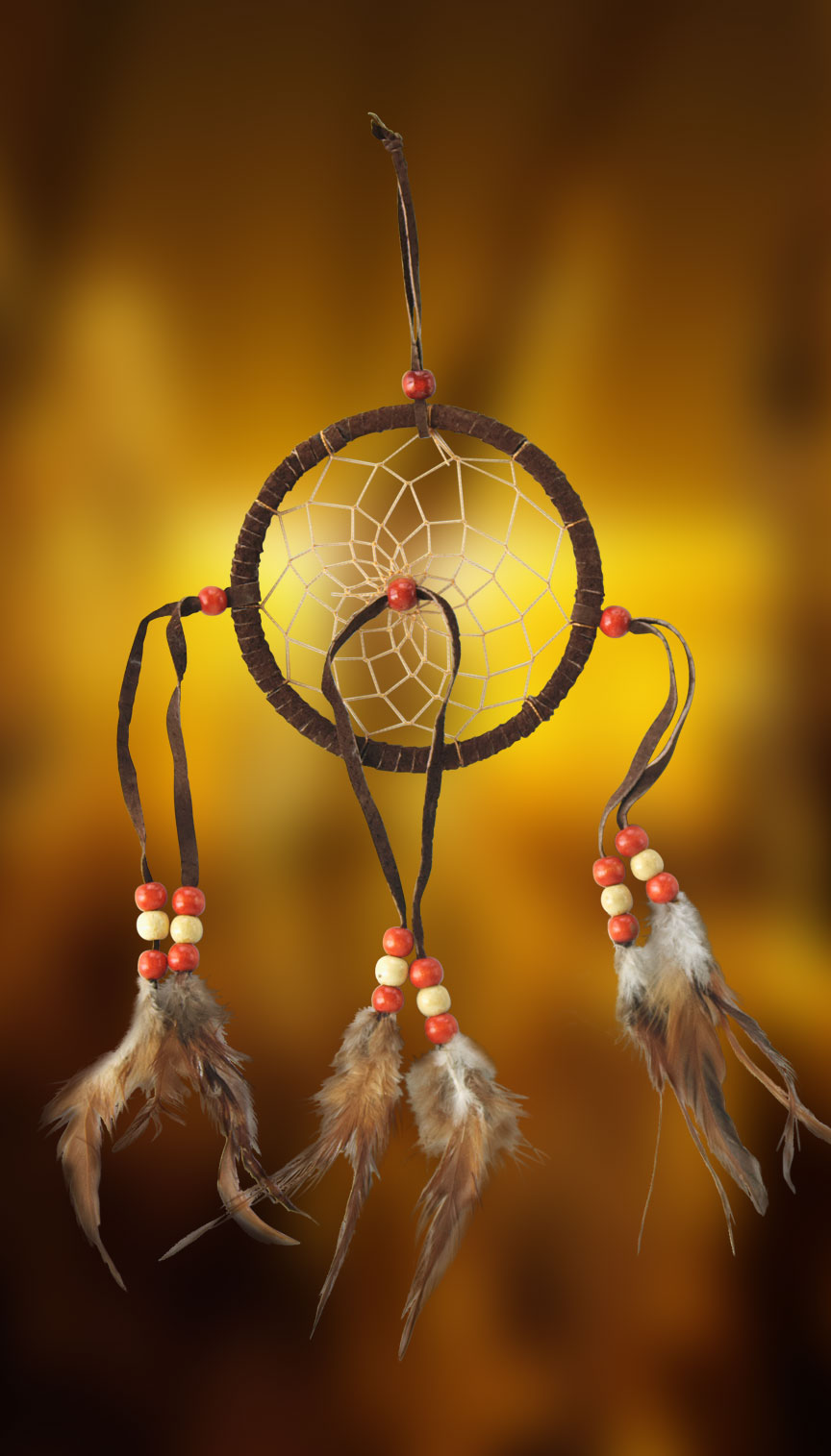 Shows an image of dreamcatcher owg005 on a scenic background