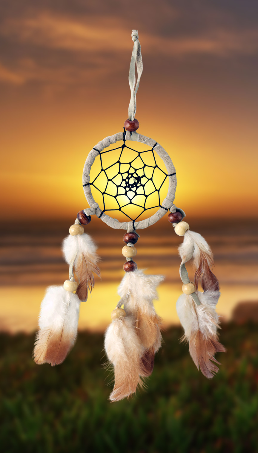 Shows an image of dreamcatcher owg006 on a scenic background