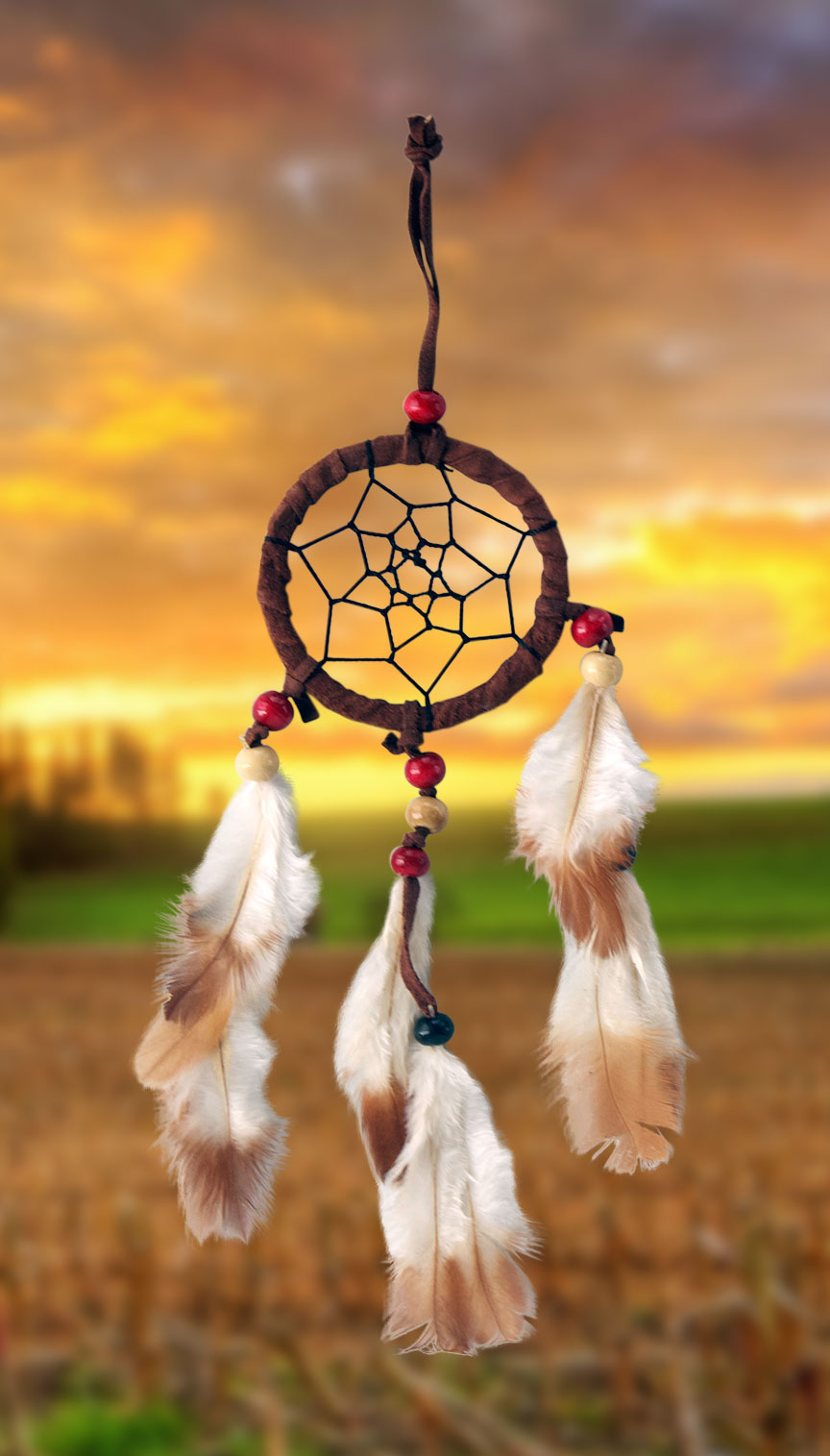 Shows an image of dreamcatcher owg007 on a scenic background