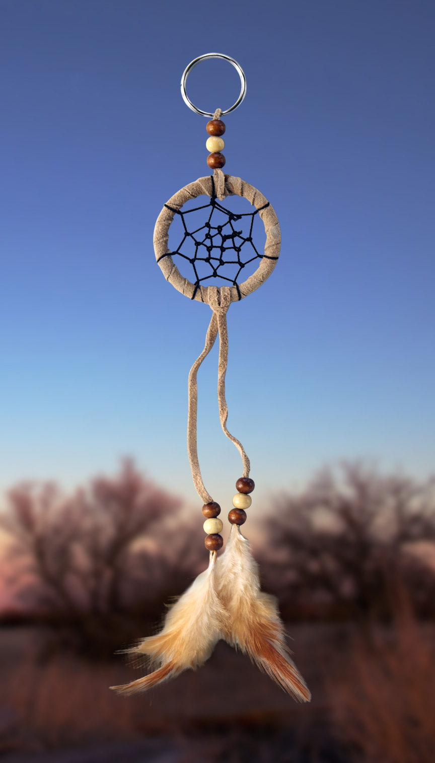 Shows an image of dreamcatcher owg008 on a scenic background