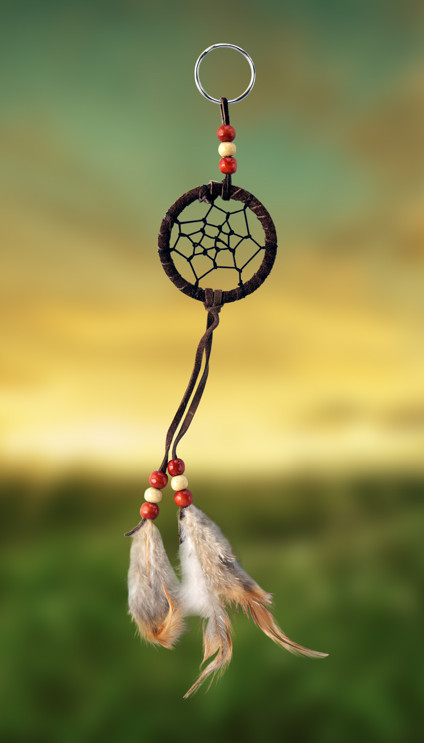 Shows an image of dreamcatcher owg009 on a scenic background