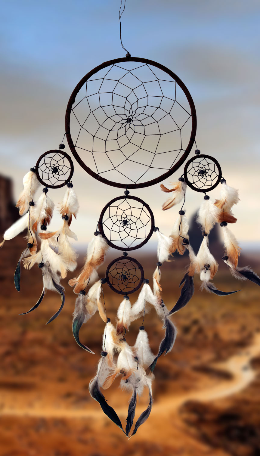 Shows an image of dreamcatcher owg011 on a scenic background