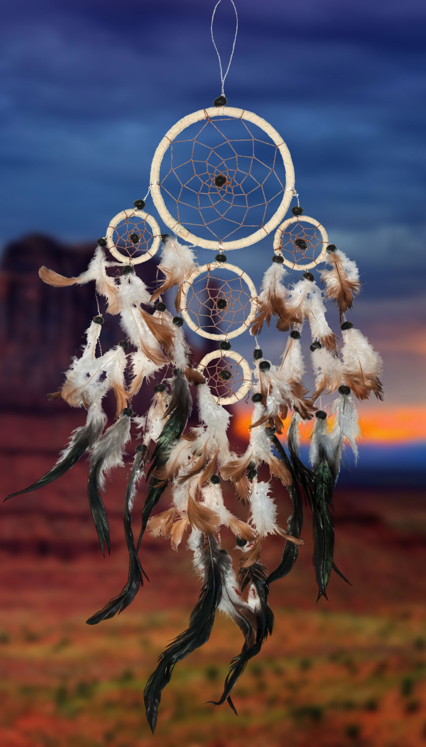 Shows an image of dreamcatcher owg012 on a scenic background